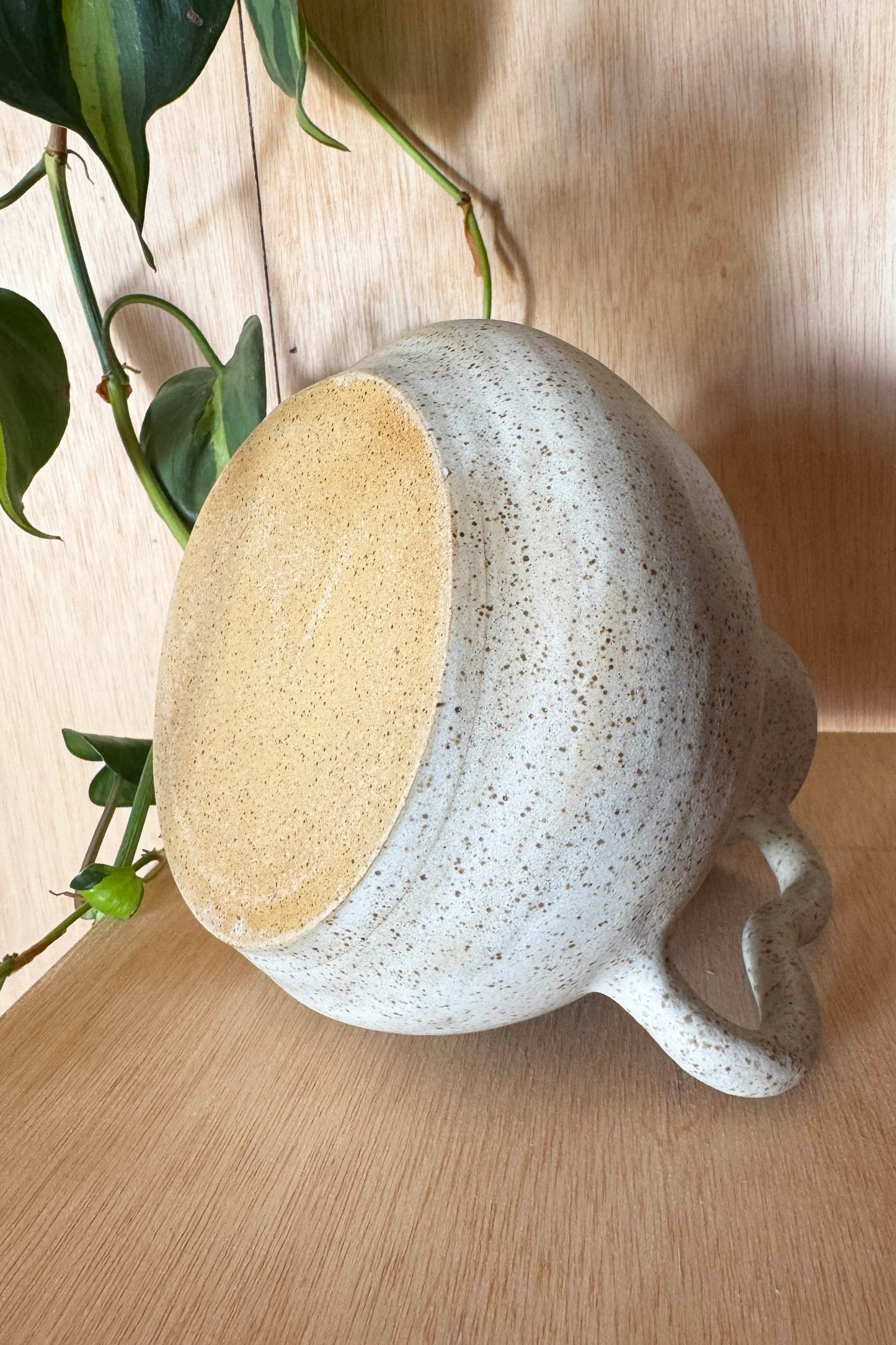 Speckled Cream Double Handle Vase