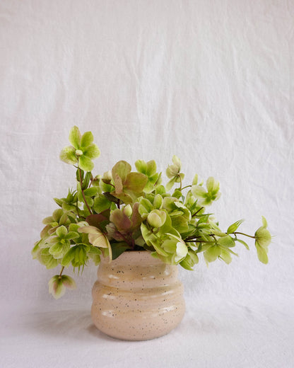 Apricot Bubbly Vase