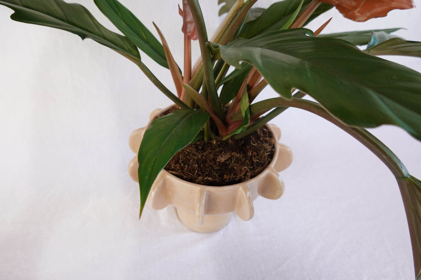 Planter with hand-built sculptural design