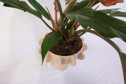 Planter with hand-built sculptural design