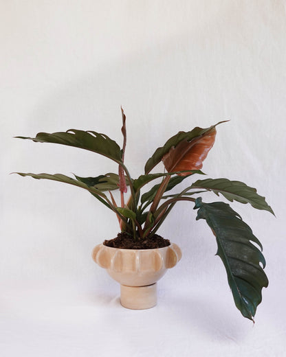 Planter with hand-built sculptural design