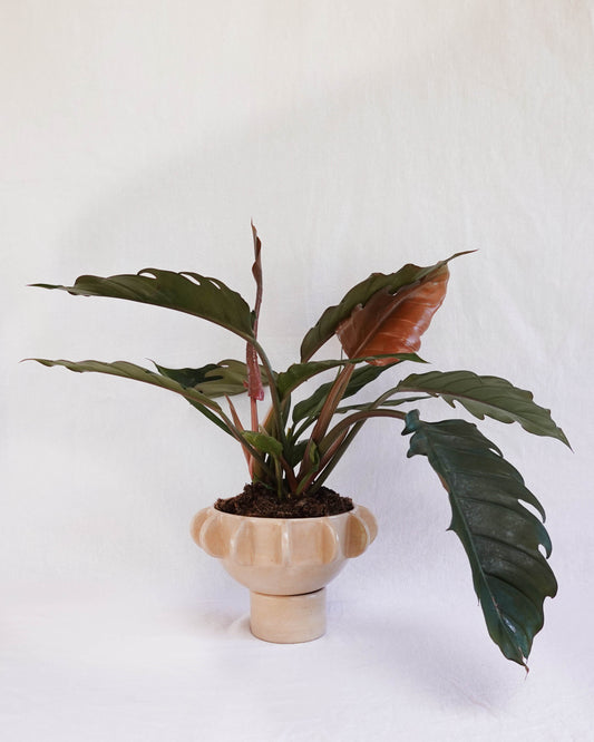 Planter with hand-built sculptural design