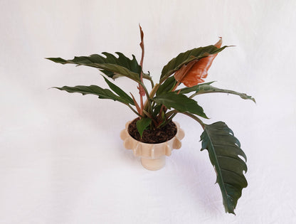 Planter with hand-built sculptural design