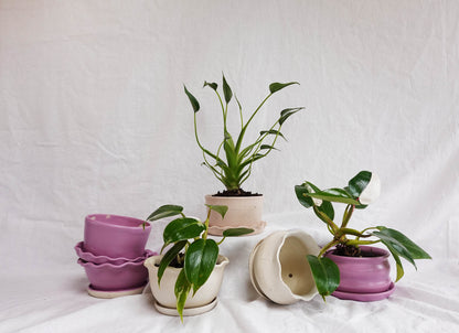 White planter w/attached Saucer (C)