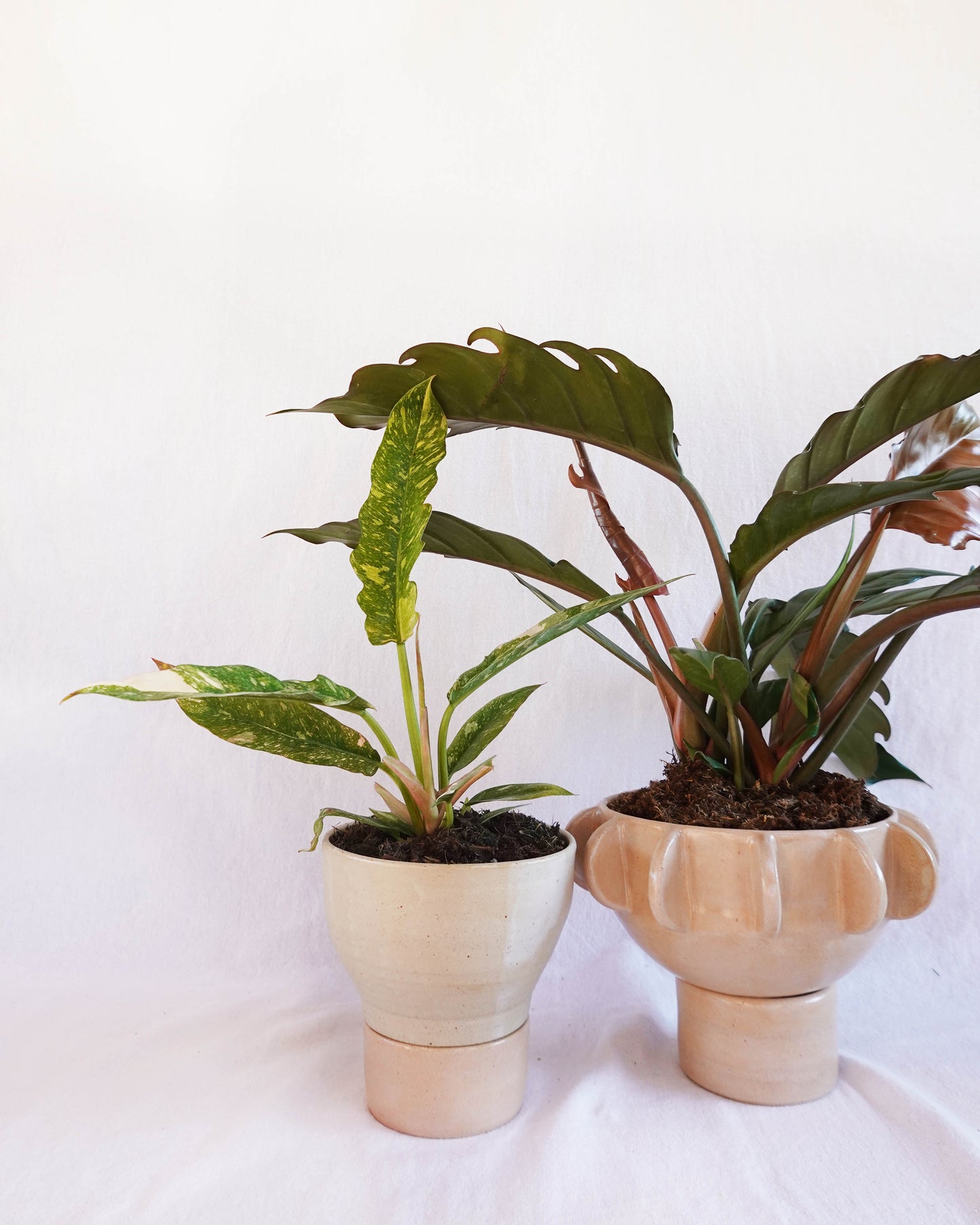 Two-Tone pedestal planter with drainage stand