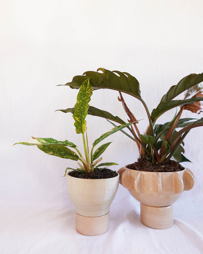 Two-Tone pedestal planter with drainage stand